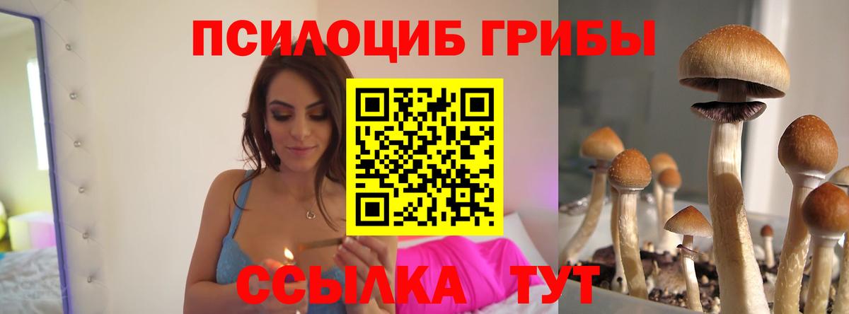 Псилоцибиновые грибы ЛСД Спасск-Дальний